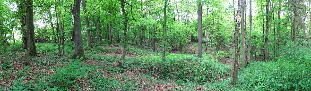 Oberrimbacher Erdfälle (Naturschutzgebiet 1