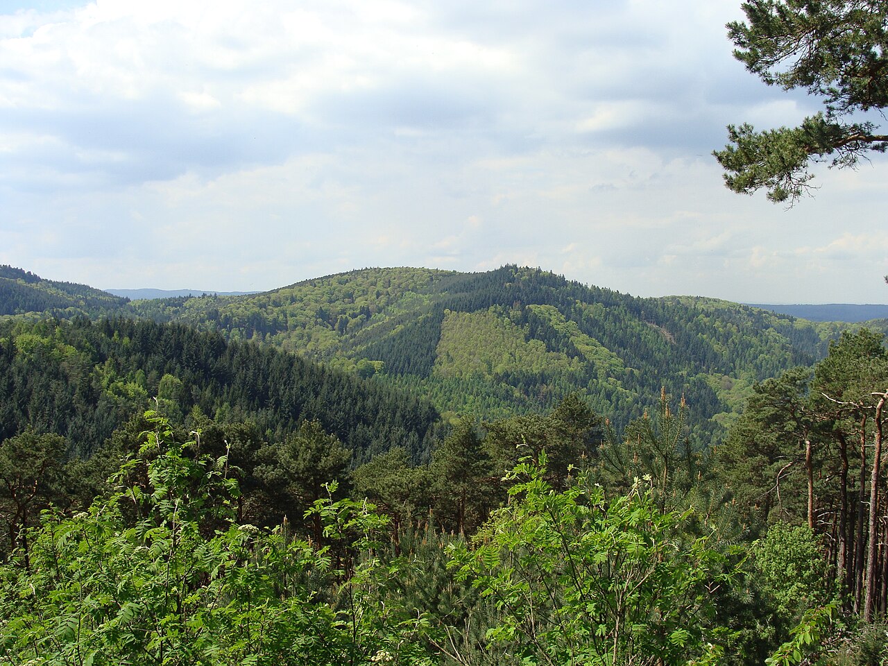 Oberscheid im Pfälzerwald - Blick von der Passhöhe Hahnenschritt