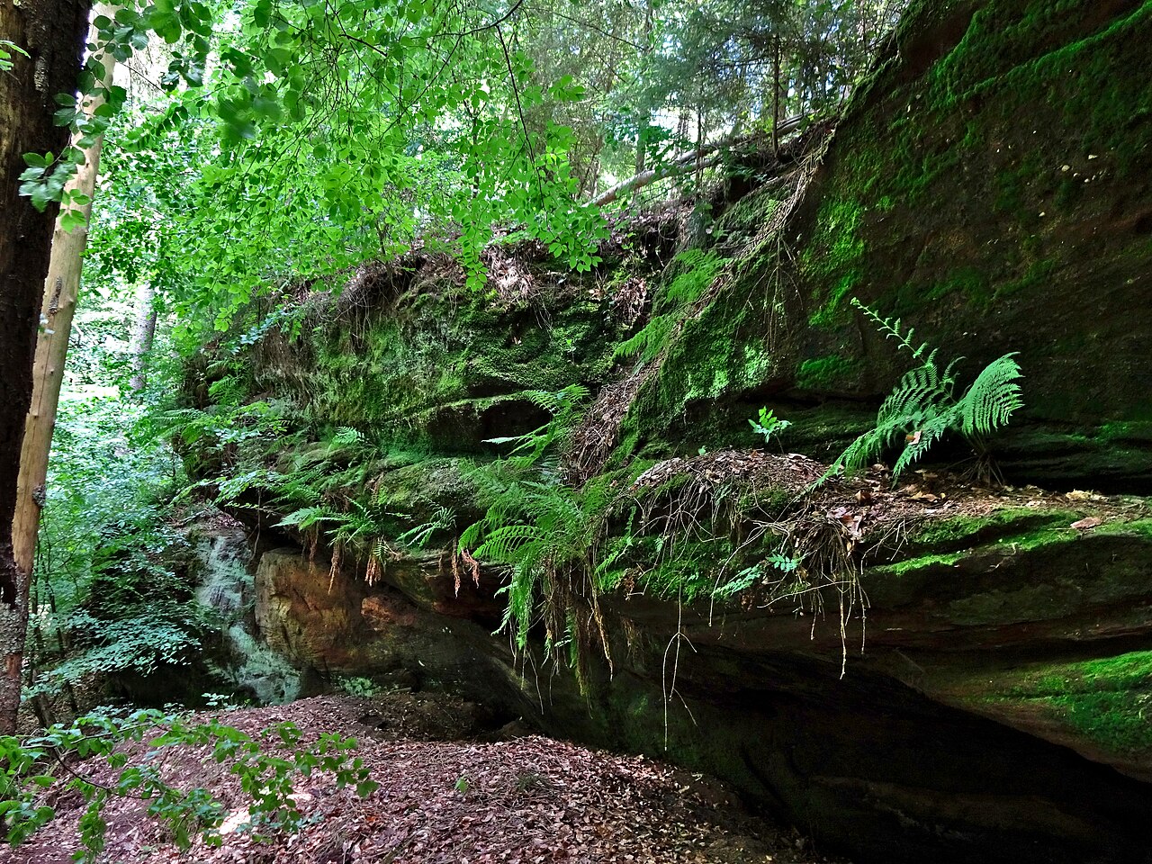 Felsformation im Naturschutzgebiet Hirschental