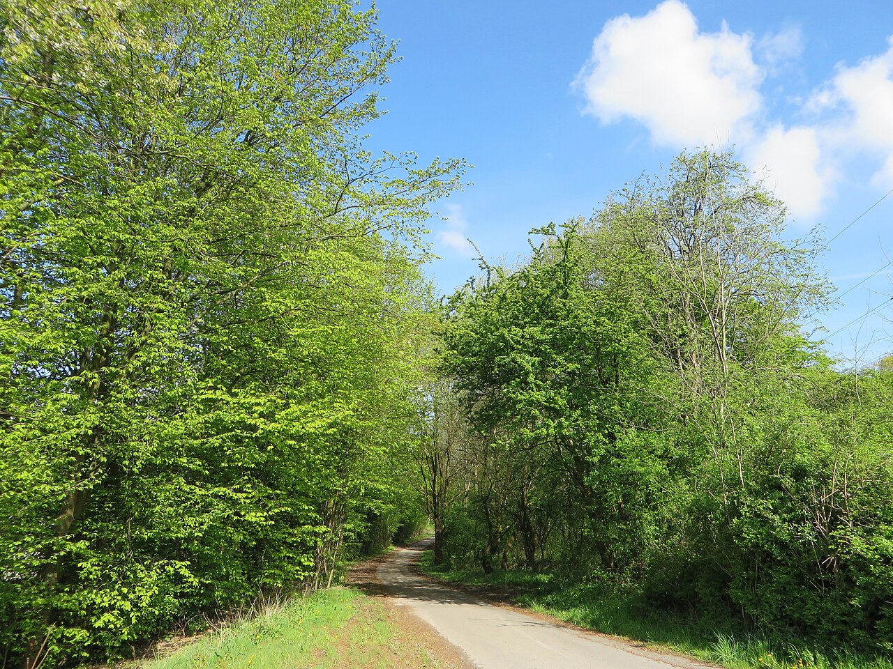 Naturschutzgebiet HA-017 „Ochsenkamp“ in Hagen