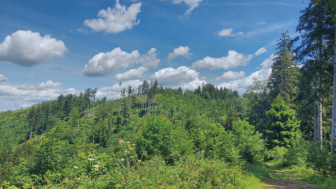Ochsenkopf of Sonneneck, view from southwest