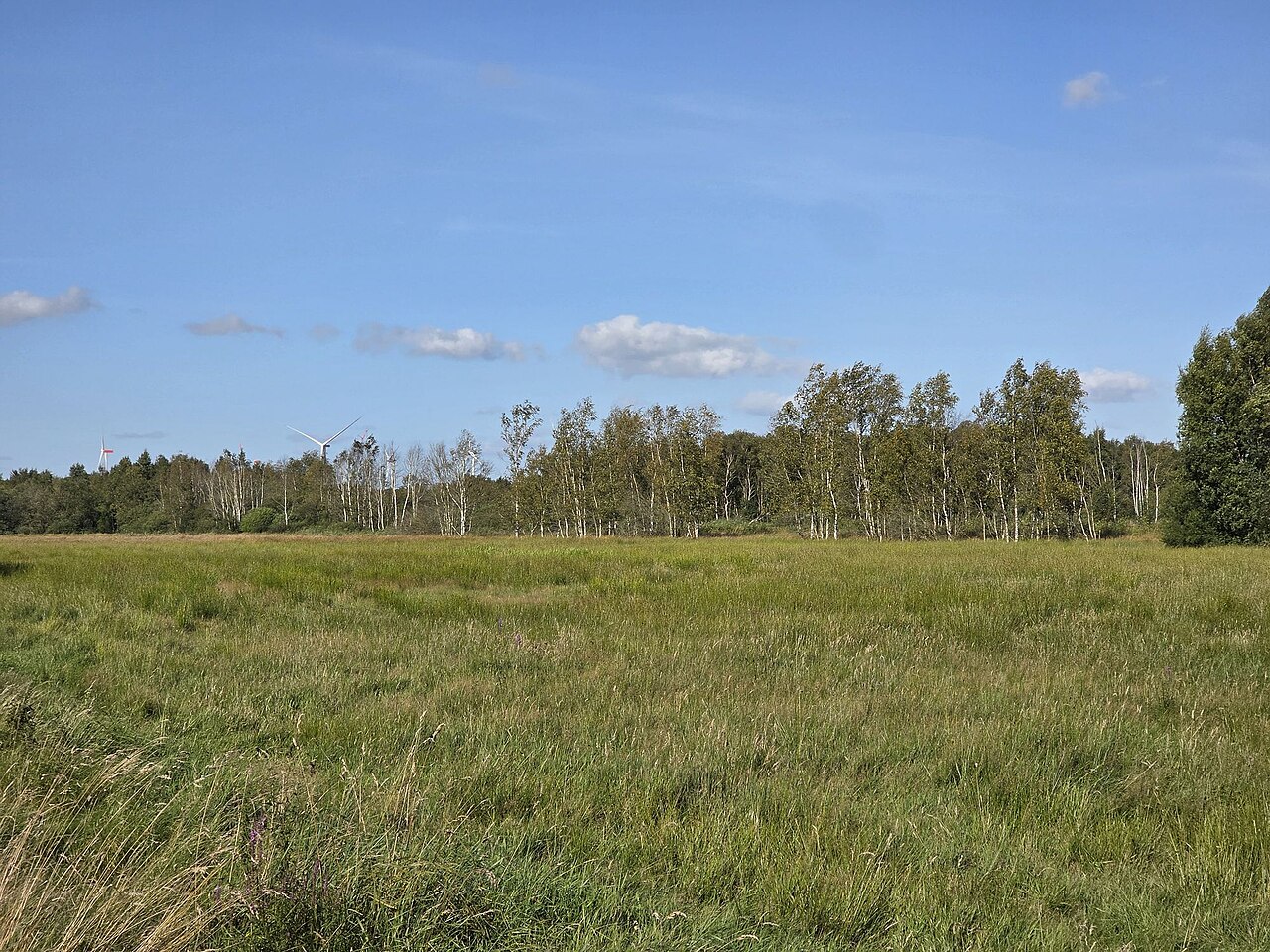 Nature reserve Oederquarter Moor