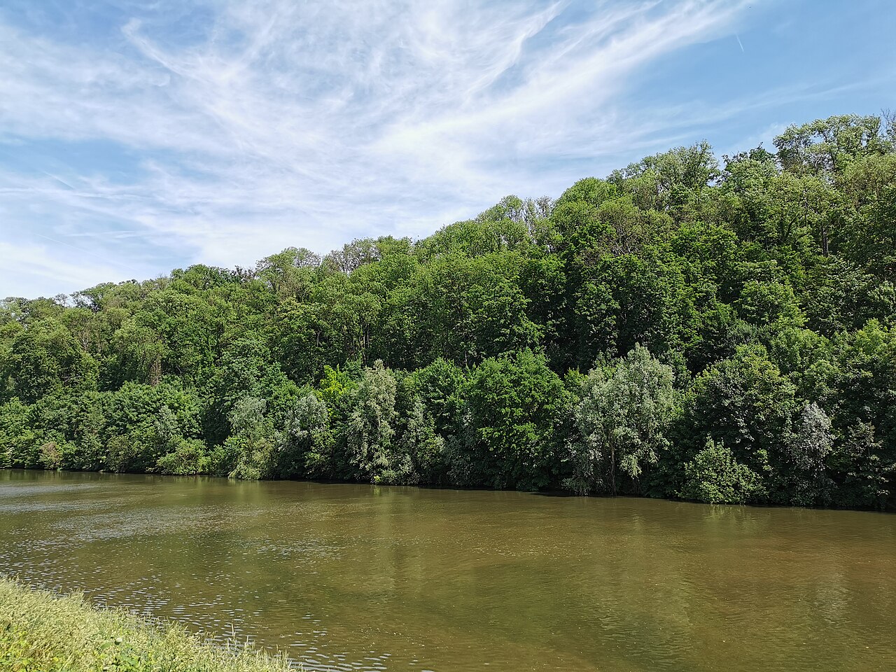 Naturschutzgebiet, Oeffinger Scillawald, Fellbach