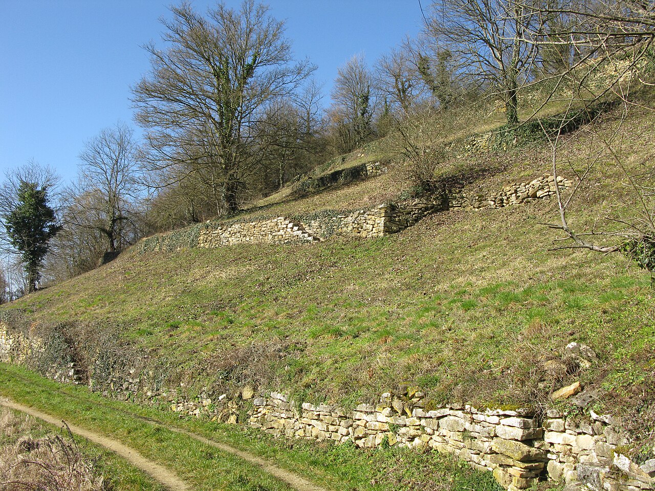 Am Osthang des Ölbergs bei Ehrenstetten mit Trockenmauer