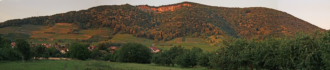The nature reserve area Oelberg in the evening sun