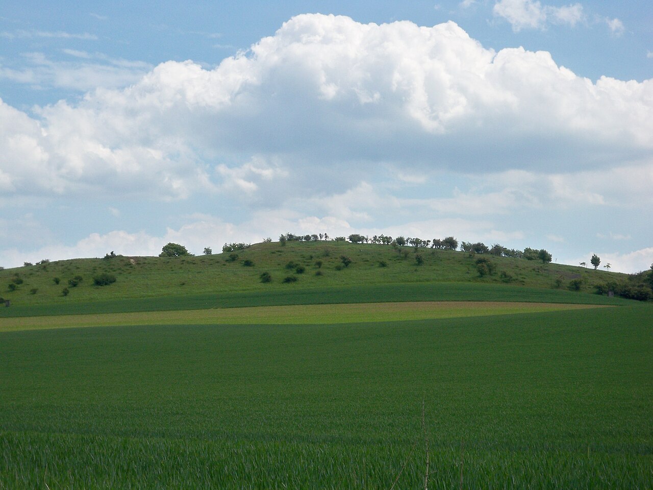 Ösel, Lower Saxony, view from west