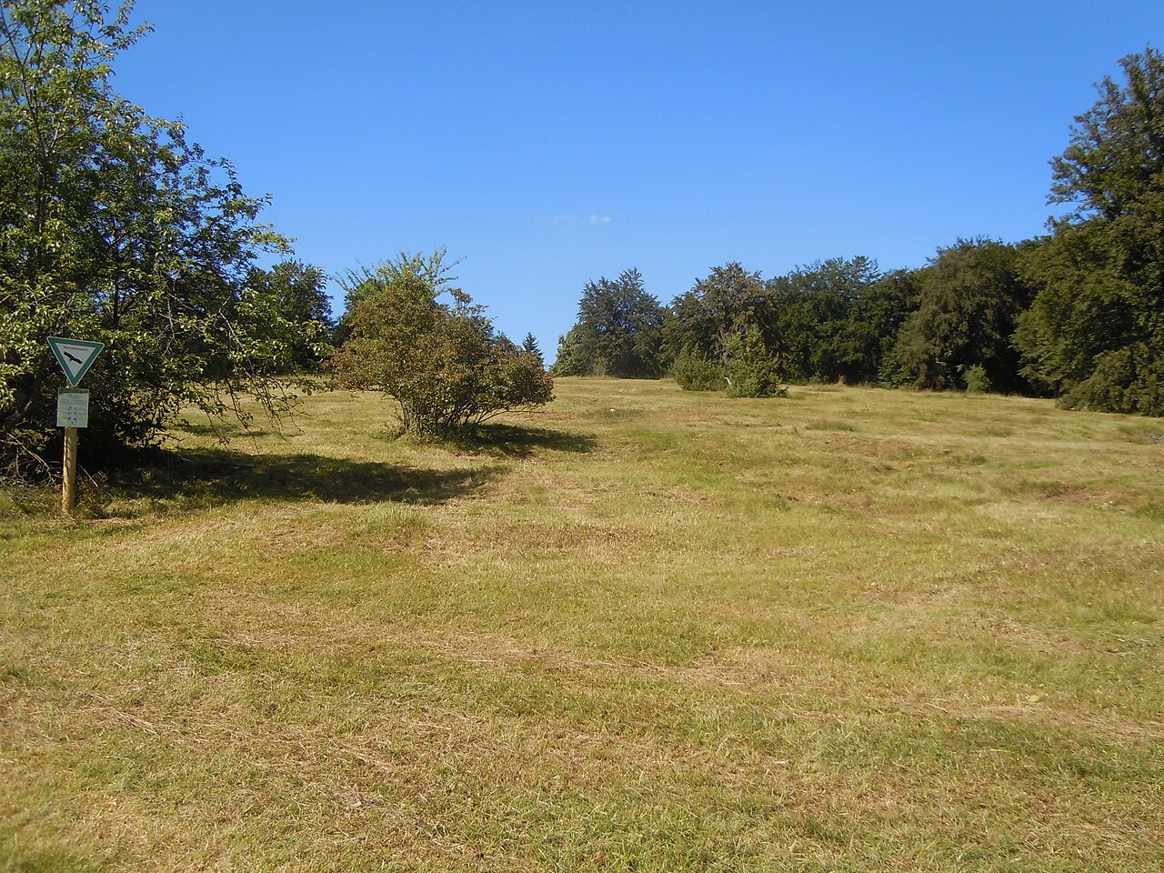 Naturschutzgebiet "Ohnastetter Bühl" (Schutzgebiets-Nr