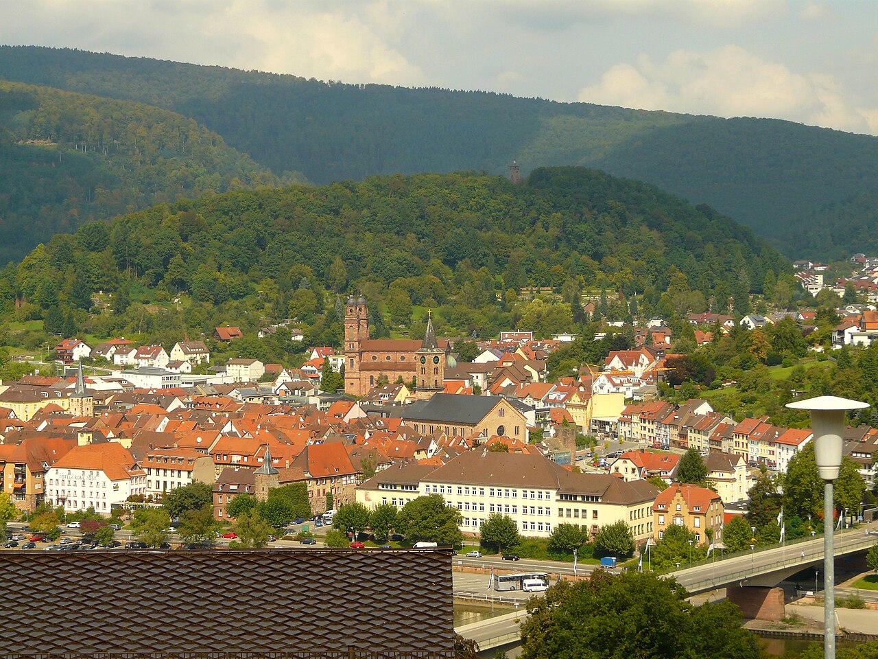 Blick vom "Böser Berg" oberhalb von Neckarwimmersbach auf Eberbach