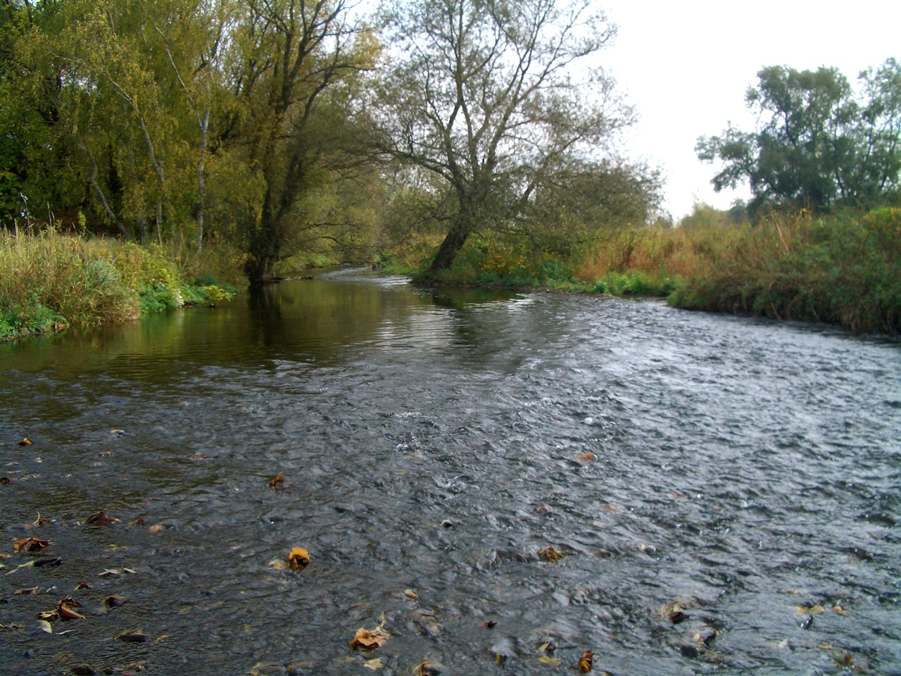 Oker near Schladen