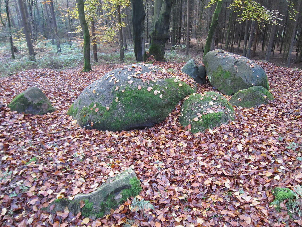 Dolmens at Oldendorf (Landkreis Cloppenburg, Lower Saxony)