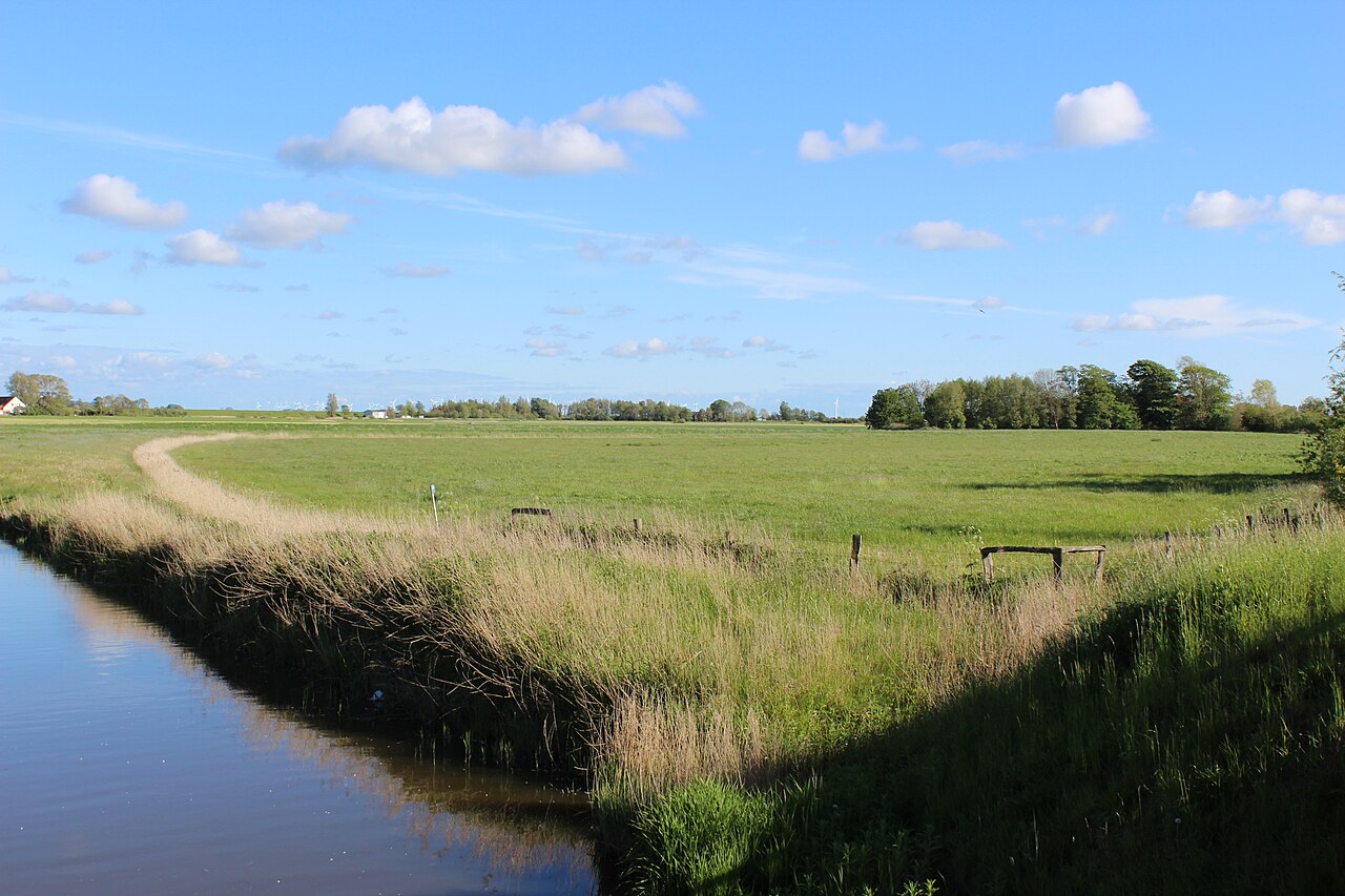 Nature reserve "Oldensworter Vorland" in the district of Nordfriesland , Rothenspieker