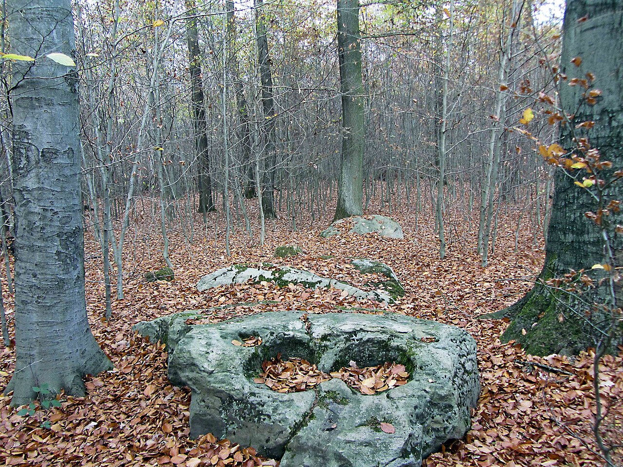 Großsteingrab "Opferstein" bei Marienborn
