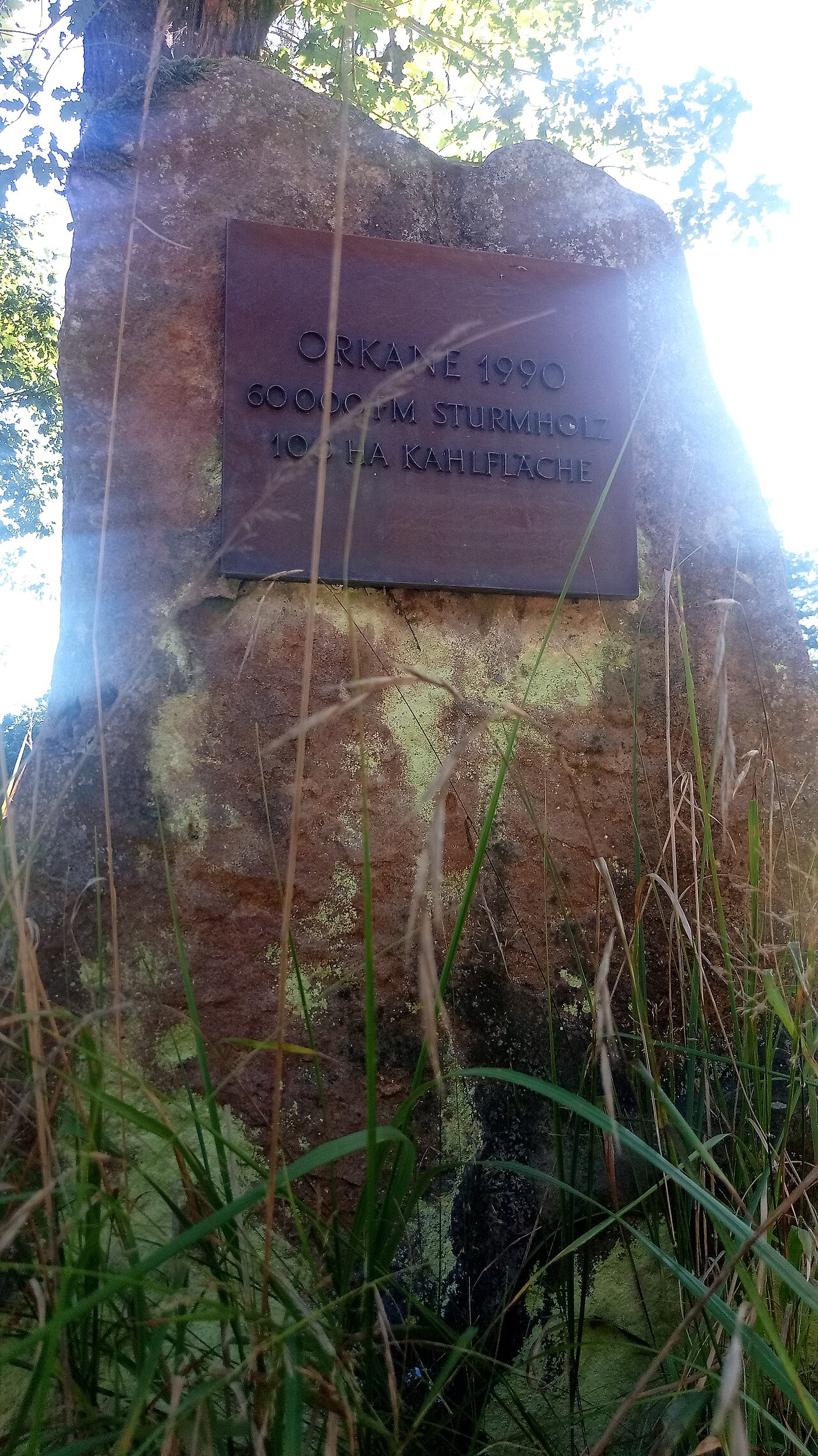 Geeenkdtein im Forst bei Bödigheim