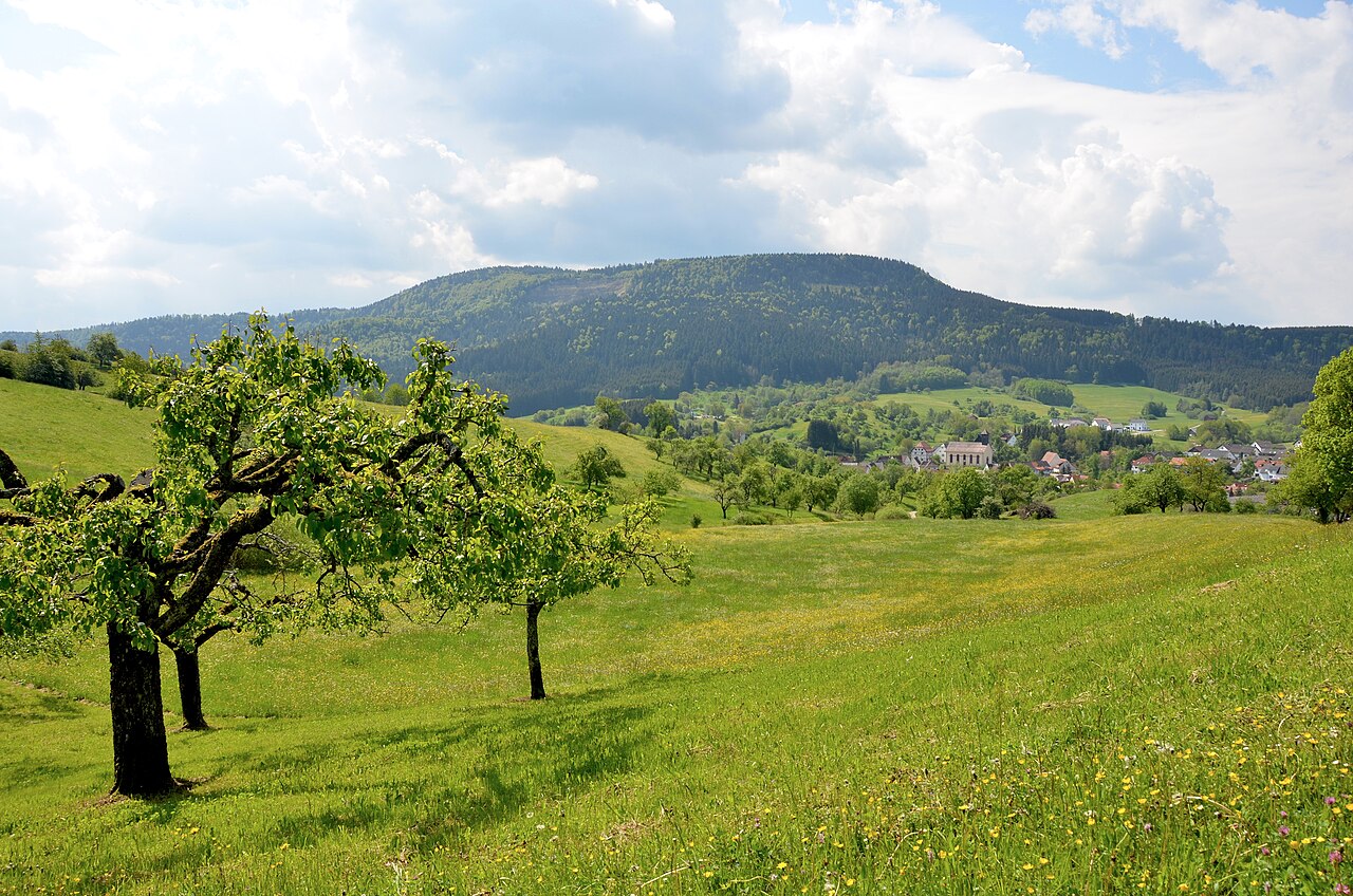 Blick über das Vogelschutzgebiet Südwestalb und Oberes Donautal zum (NSG:BW-4