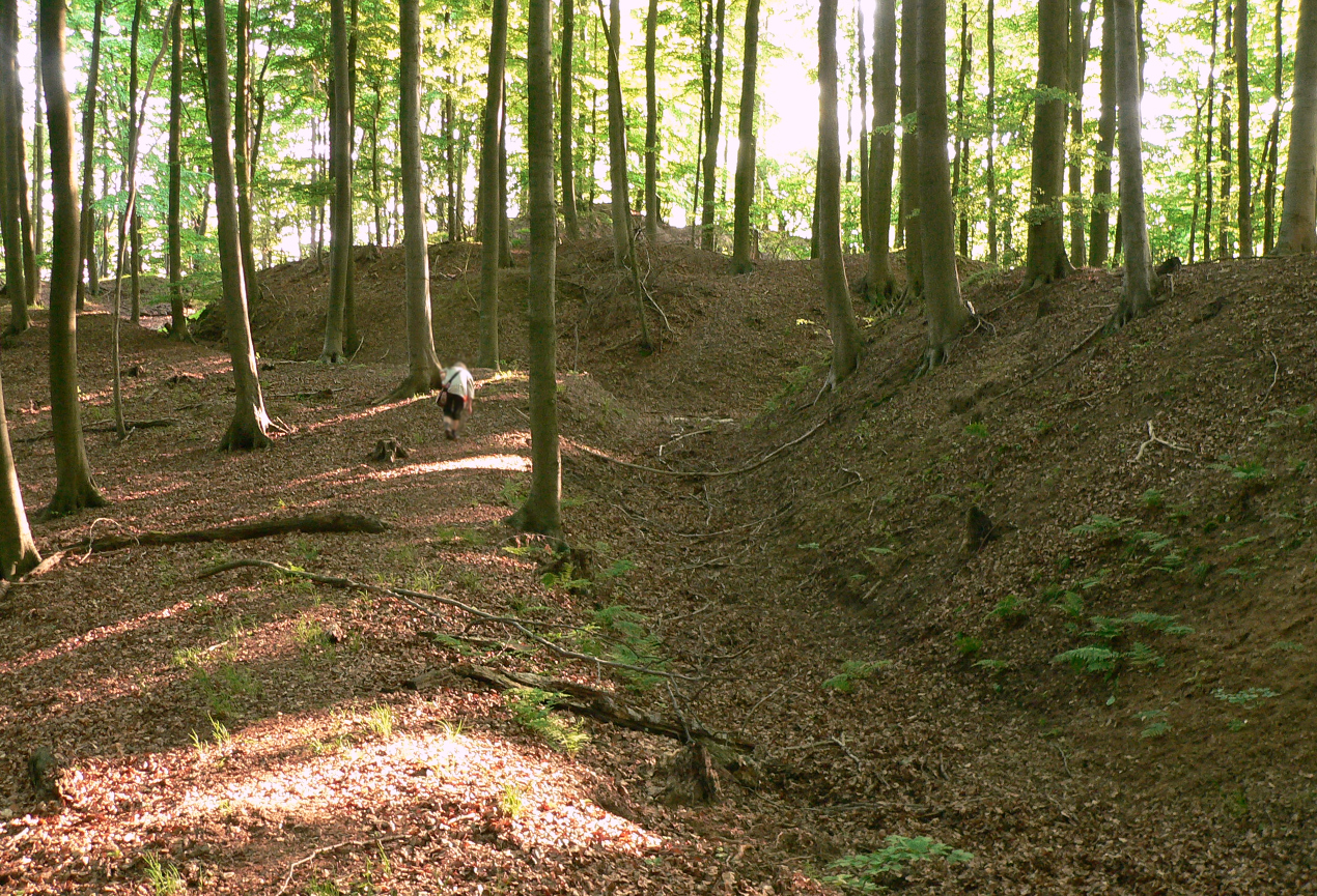 Vorburg (rechts) und Hauptburg (links) der Osterburg bei Deckbergen
