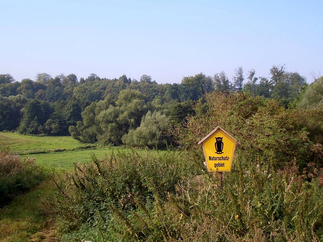 Blick von Nordosten in das Naturschutzgebiet Ostpeene (bei Malchin)