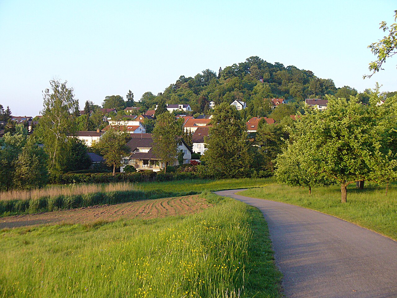 Ottilienberg, Blick auf die Westflanke (Schorndorf, Baden-Württemberg, Deutschland)