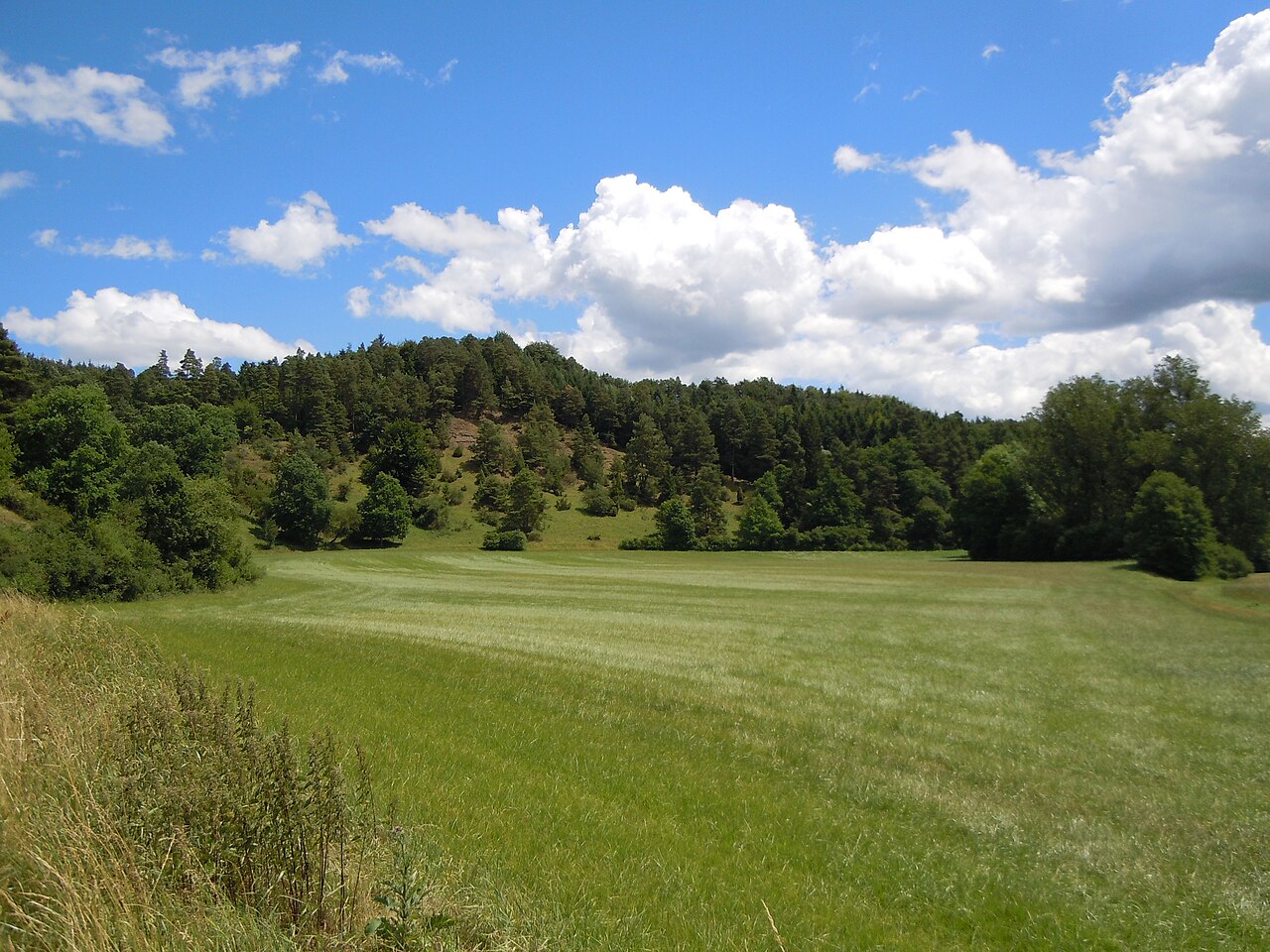 Naturschutzgebiet Owinger Bühl: Hang des Eyachtals