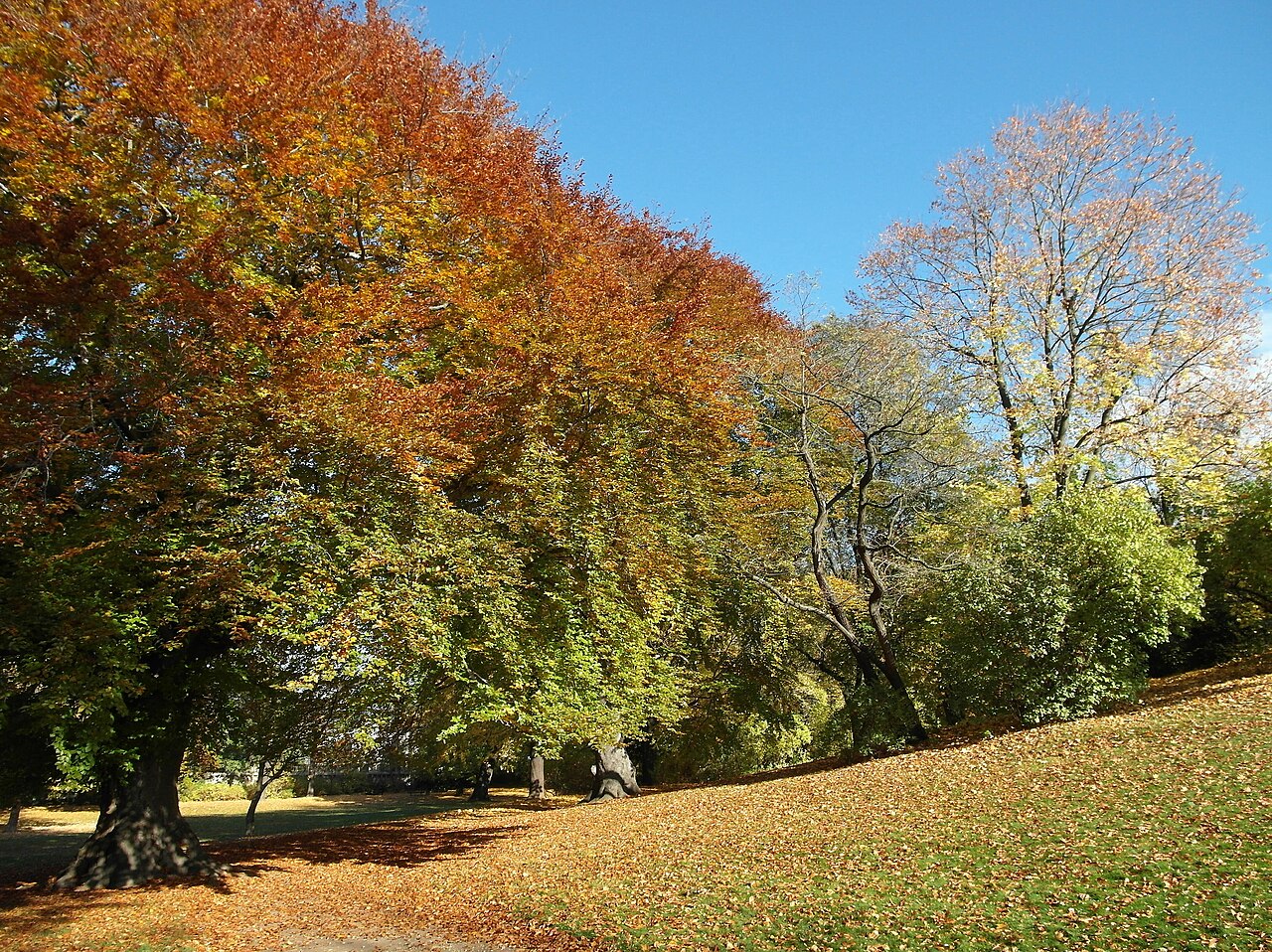 Foto von Palaisgarten