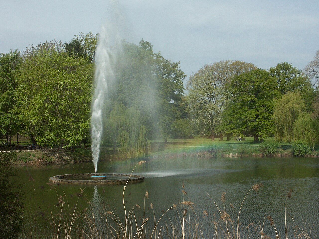 Fontäne im Palmengarten Leipzig