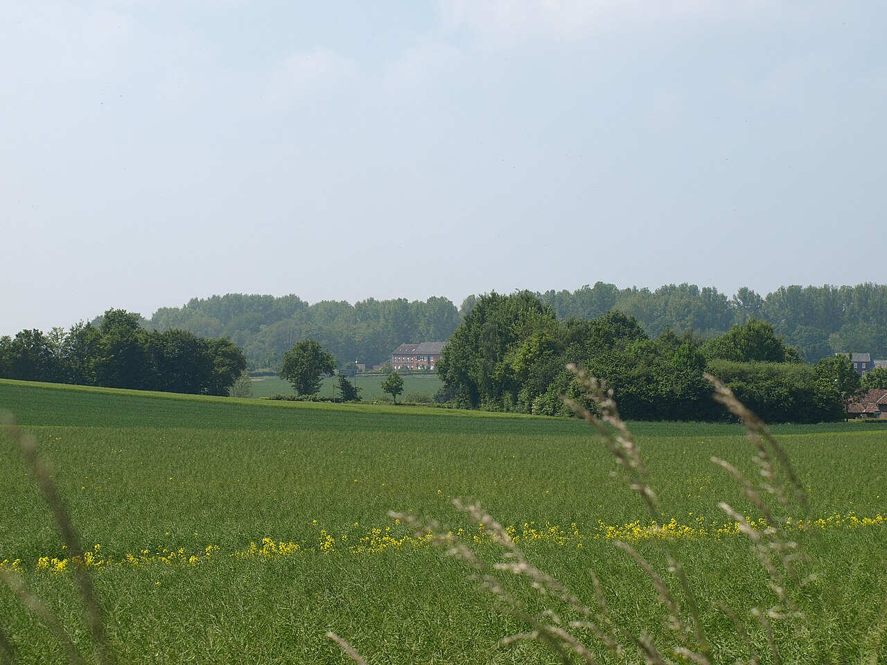 Foto von Pannenschopp