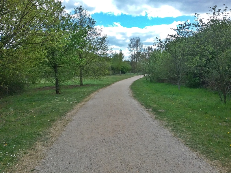 Berlin-Marzahn im „Park am Weidengrund“