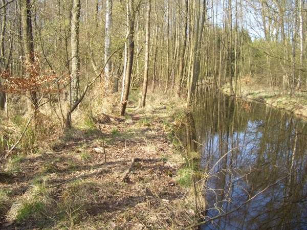 Blick auf den Hullergraben, der den Großen Peetscher See in Mecklenburg-Vorpommern entwässert