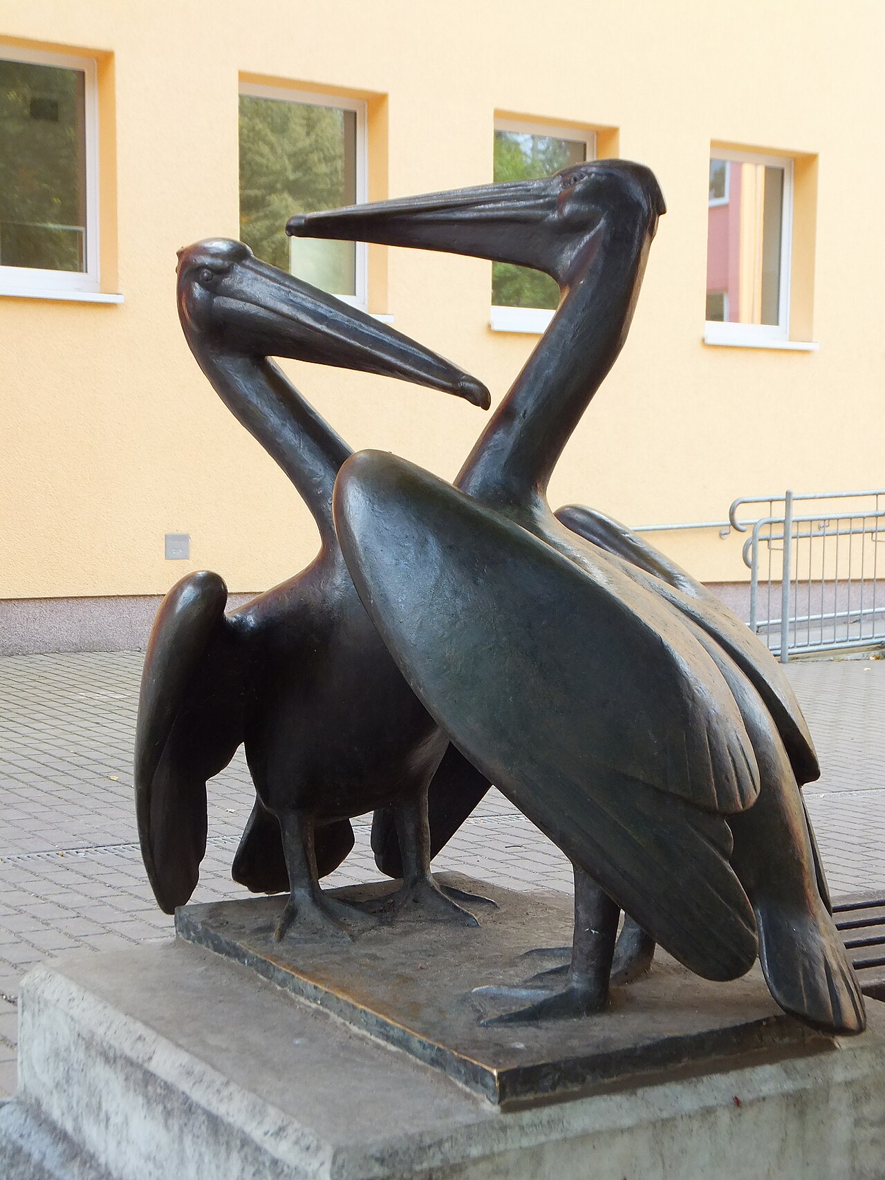 Foto von Pelikane