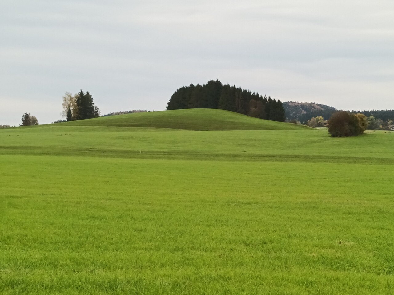 Der Pertlesbichel (825 m) östlich von Hopferau