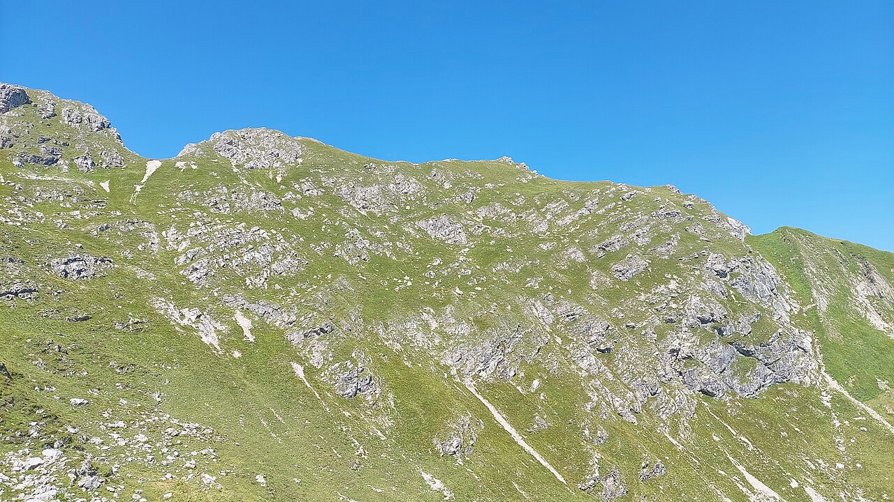 Pfannenhölzer in the Allgäu Alps