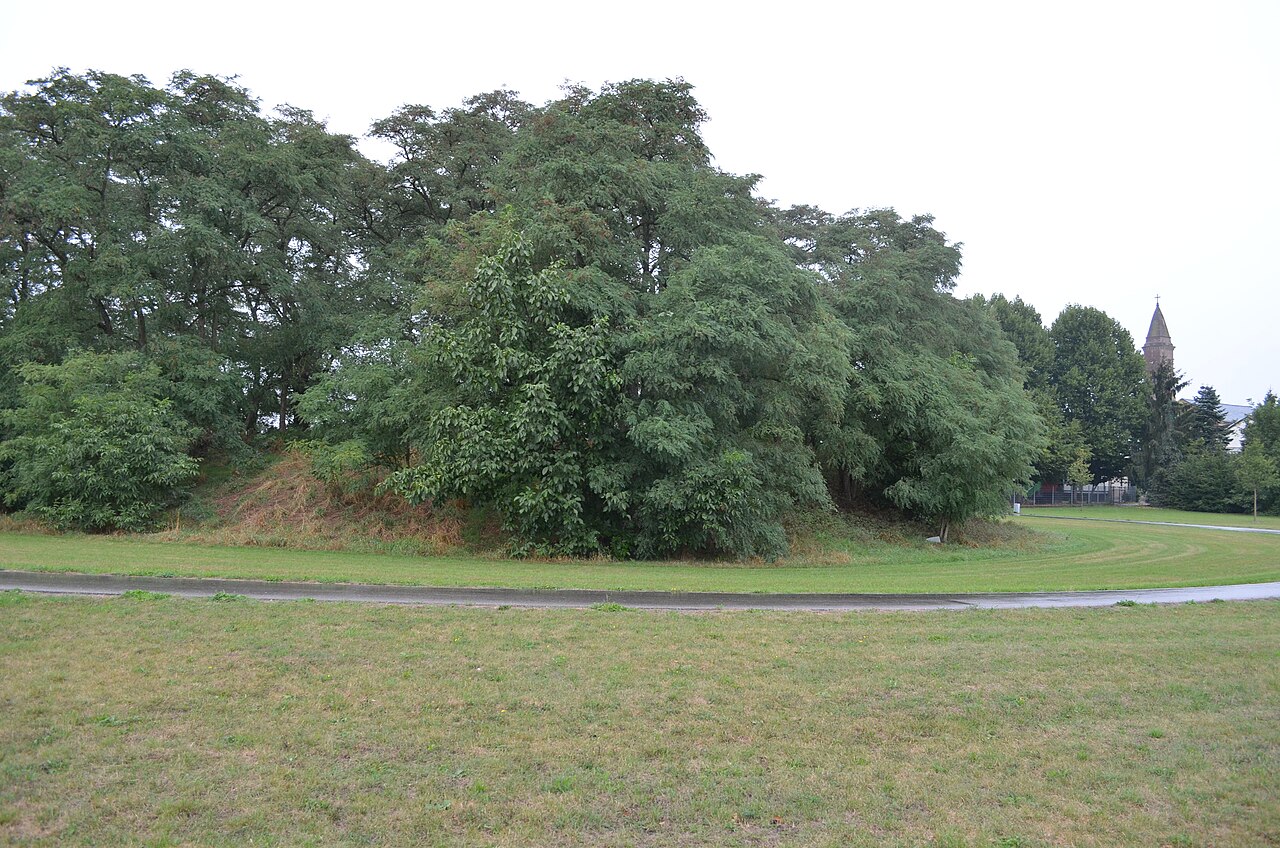 mittelalterlicher Burgstall von Weiher ("Pfarrberg")