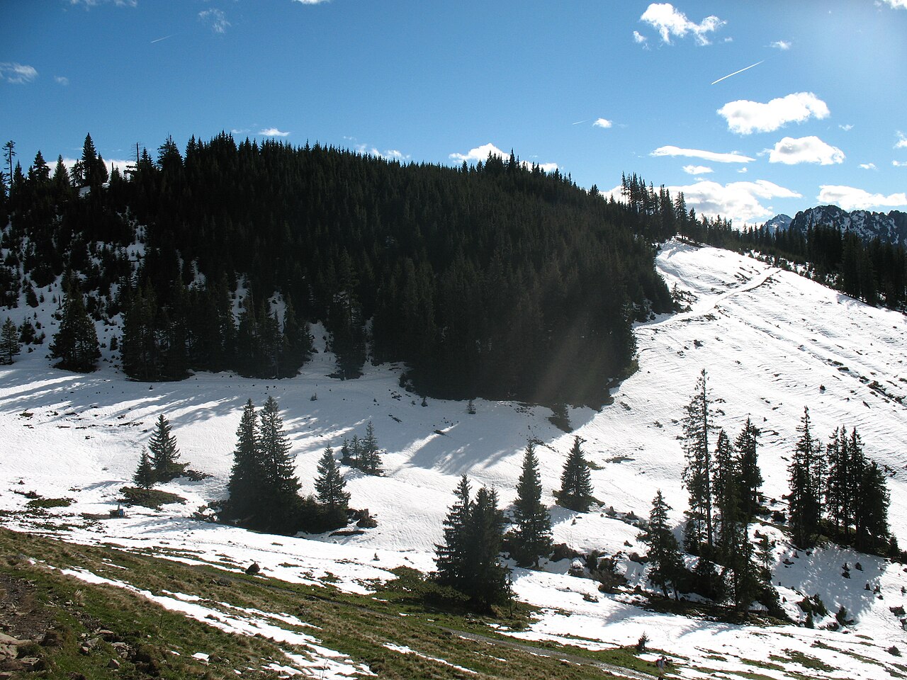 Blick aus der Südflanke der Reuterwanne auf die Nordseite des Pfeifferbergs (1457 m)