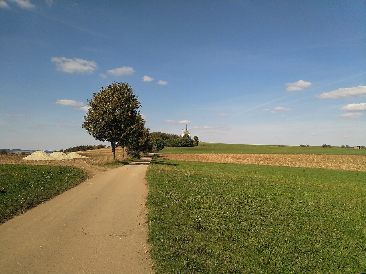Pilzhübel, a hill near Krumhermersdorf in the municipality of Zschopau, Saxony, Germany