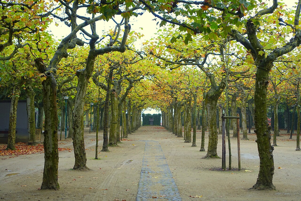 Platanenhain - Mathildenhöhe - Darmstadt, Germany