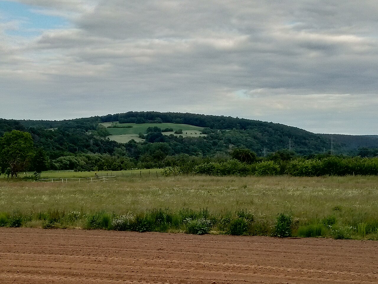 Plattenberg (Kleinwallstadt)