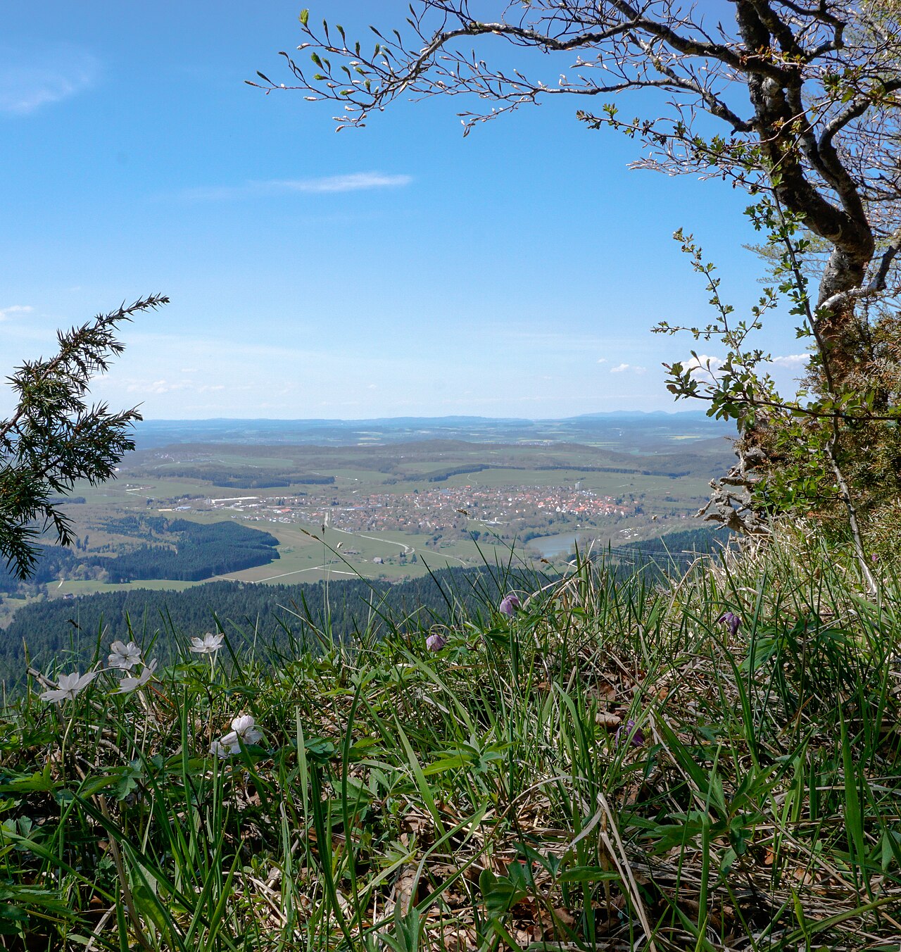 Naturschutzgebiet Plettenkeller, Schutznummer 4