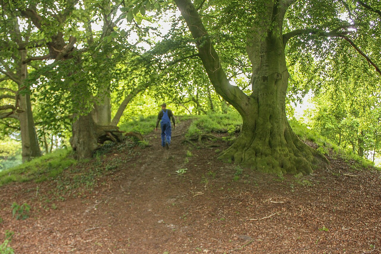 Die Motte Grasdorf oder Osterberg