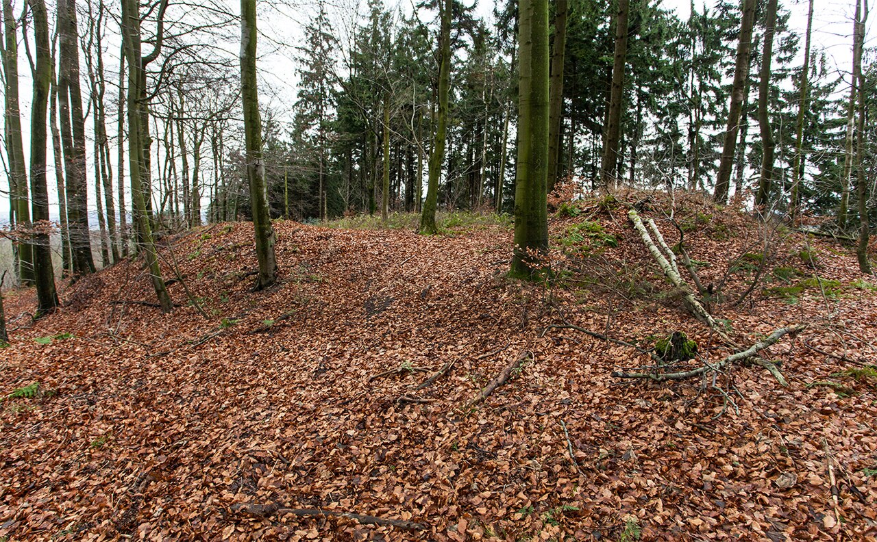 Wallreste der Polackenschanze, Extertal