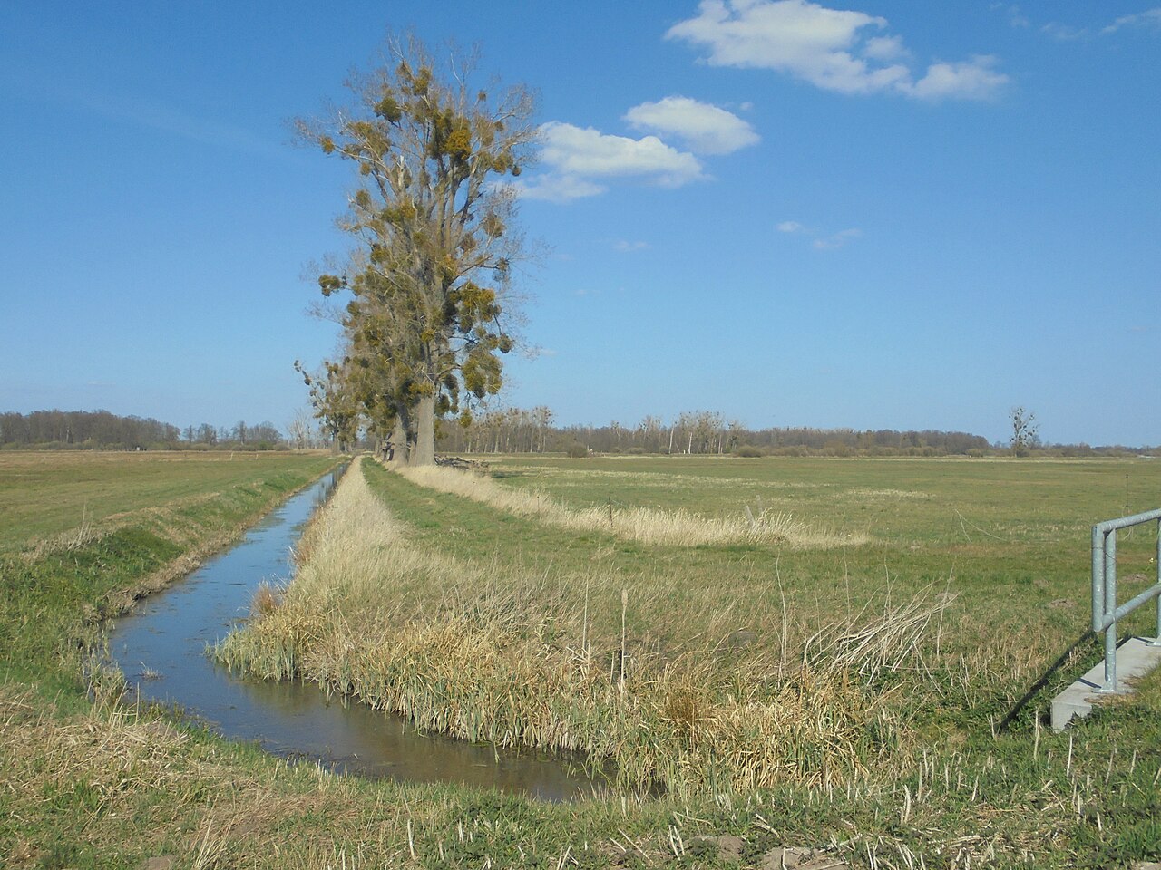 Foto von Politz und Hegholz