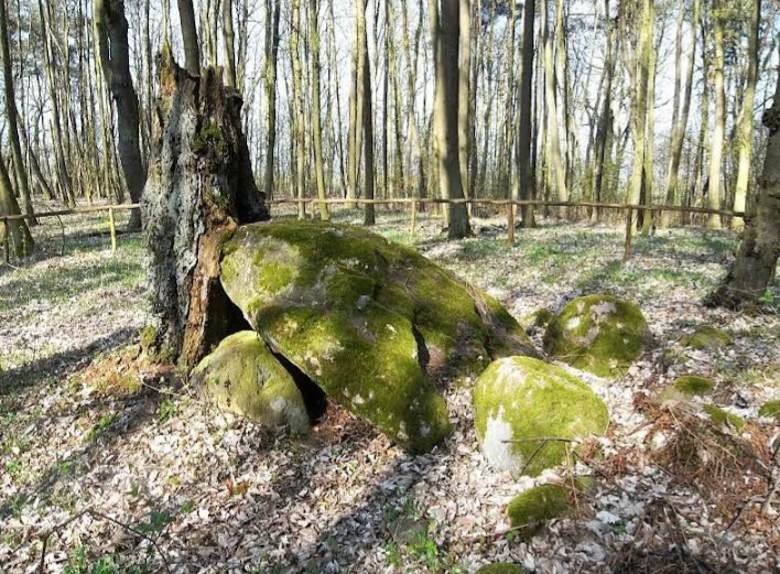 Großsteingrab Lexow 09 2021