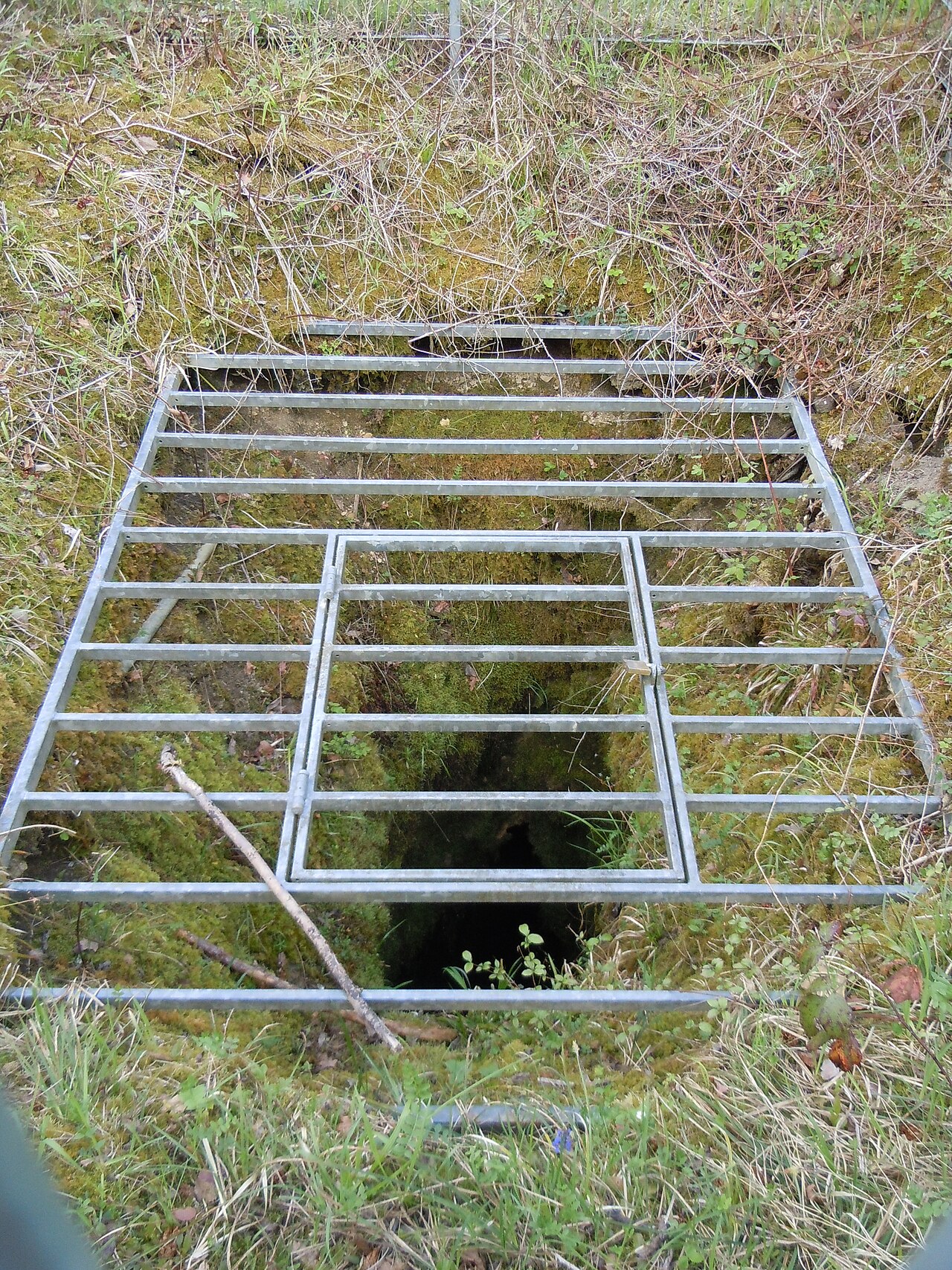 Flächenhaftes Naturdenkmal "Schachthöhle Pommerlesloch" mit Abdeckung