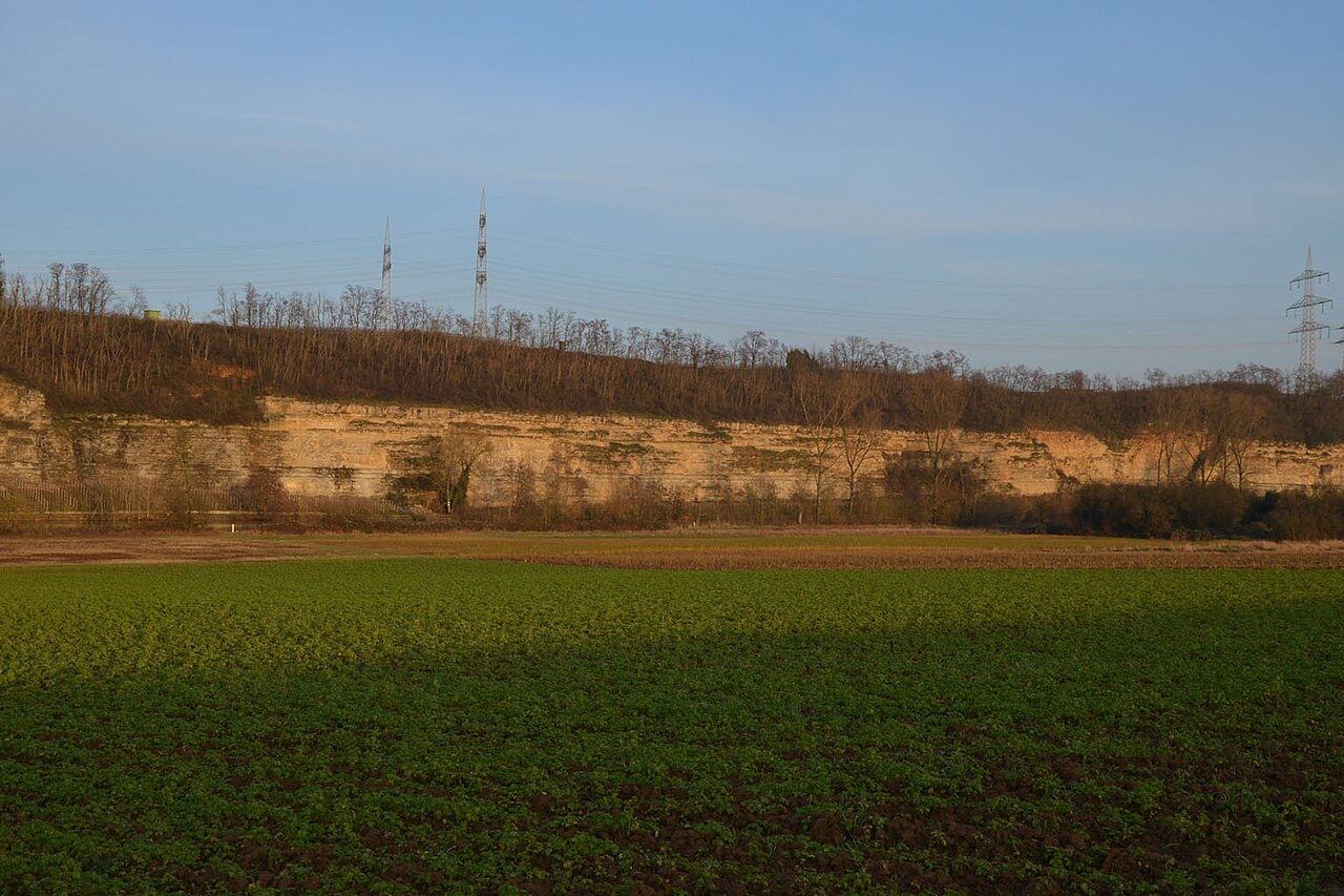 Blick von Westen auf einen Abschnitt des Naturschutzgebiets "Prallhang des Neckars bei Lauffen"