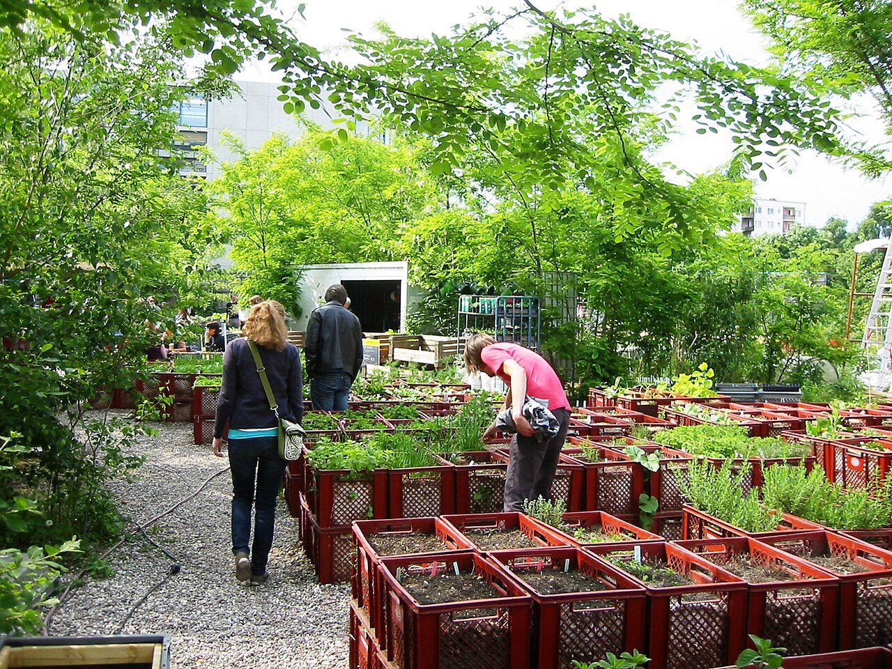 Prinzessinnengärten in Berlin-Kreuzberg: Auswahl an Pflanzen