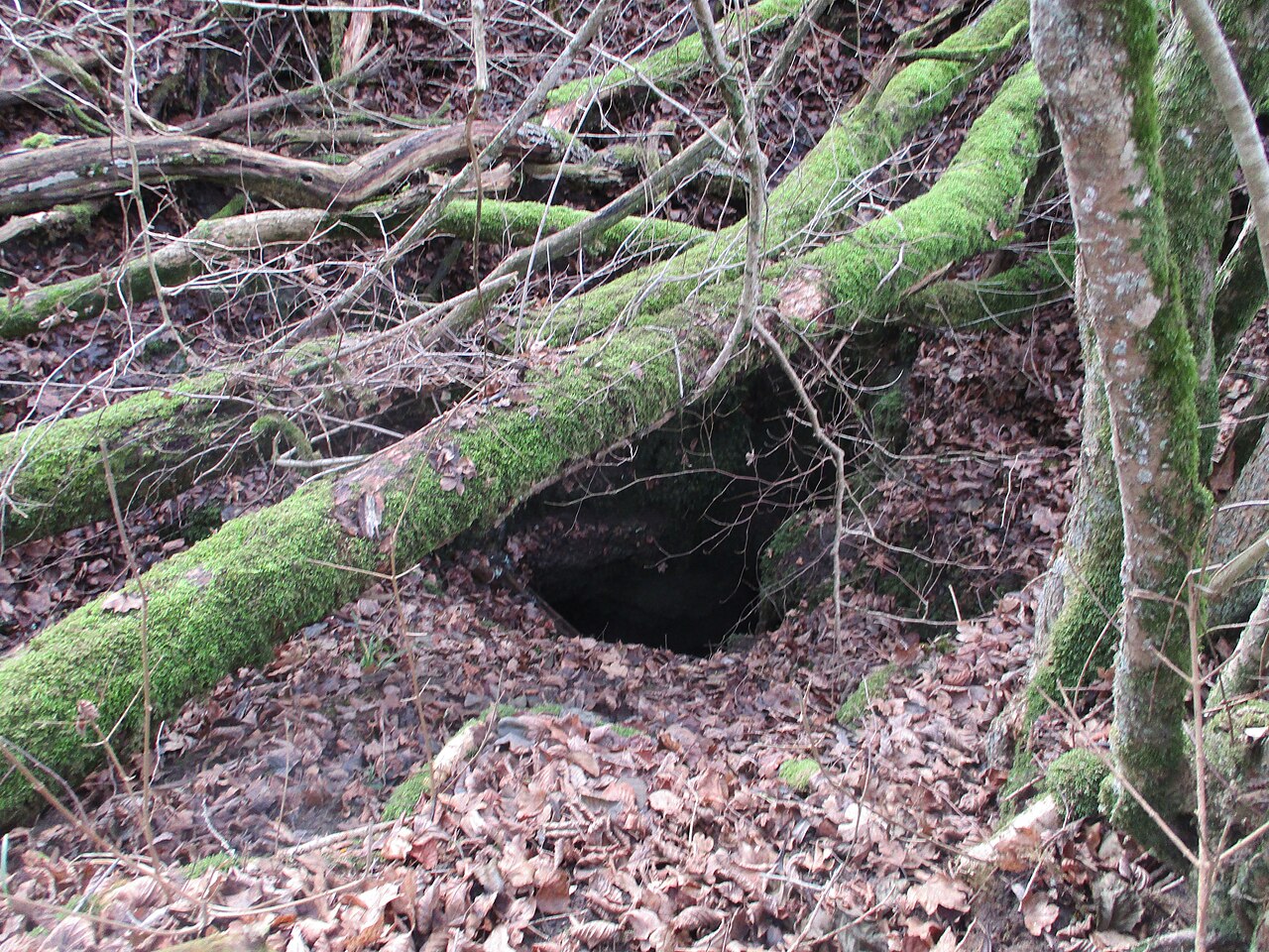 The Pumperhöhle, in the Forrest between Rothenberg and Otting, Bavaria, Germany