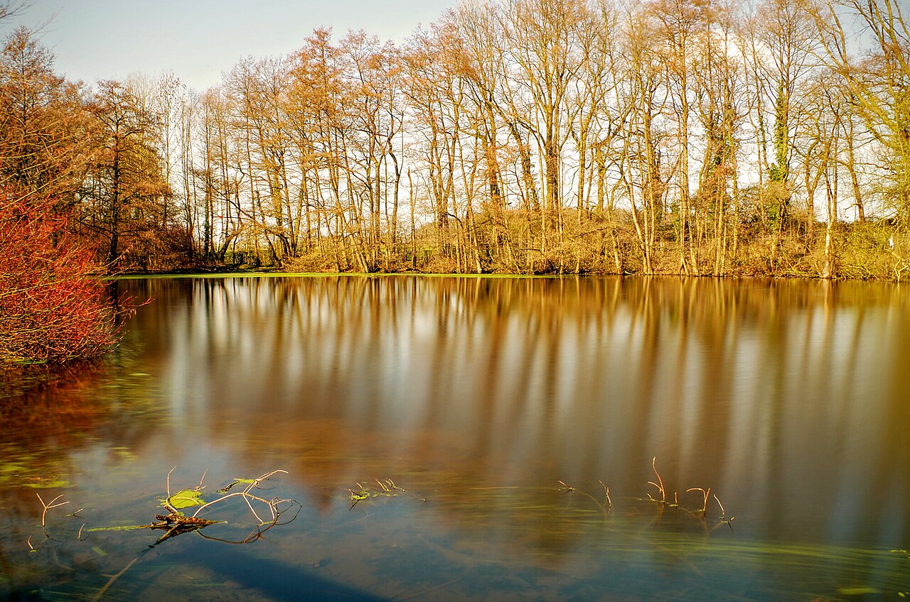 Blick vom Ufer auf den Teich als Langzeitbelichtung 15 Sek