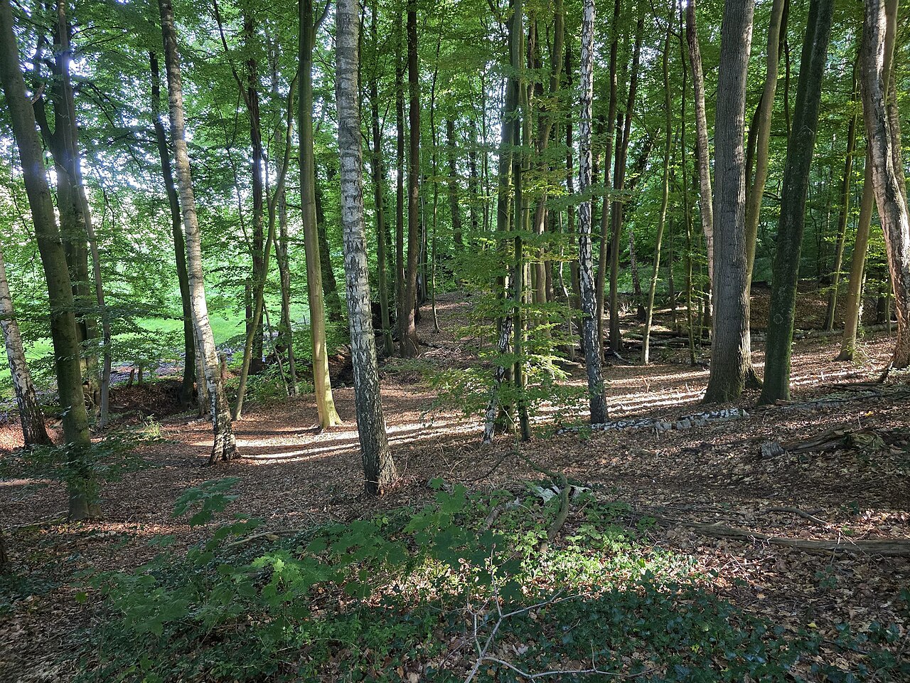 Nature reserve Quellental