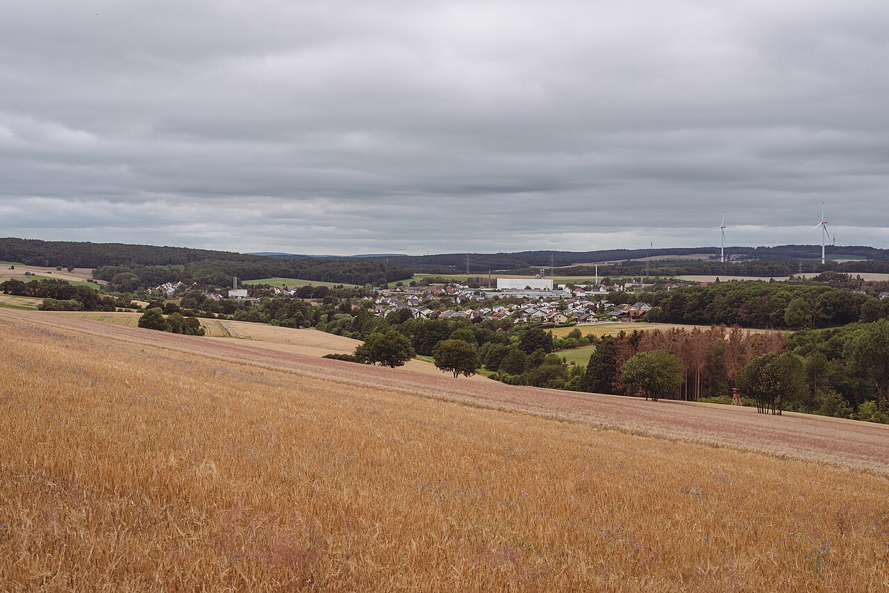 Foto von Quellgebiet des Köllerbaches zwischen Großwald und Kirschhofer Tal