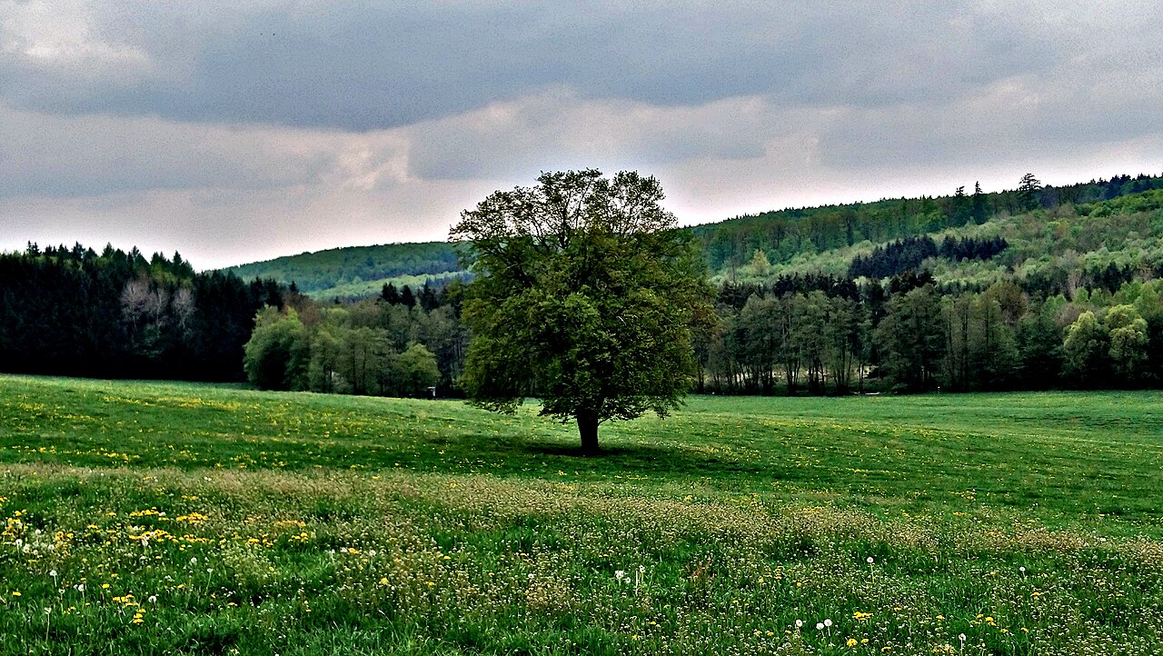 (NSG:HE-1435082)_Rabensteiner Grund
