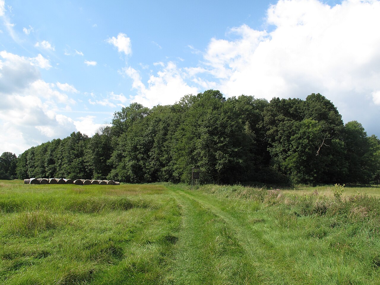 Foto von Räuberberg