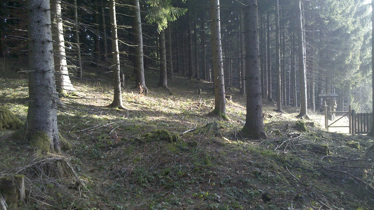 Rainer Berg (Hausham) near the end of the paved road and close to the 1169 m point